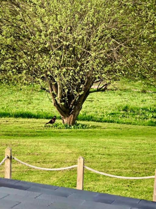 Cosy Farmhouse Escape In Monmouthshire Villa Wolves Newton Exterior foto