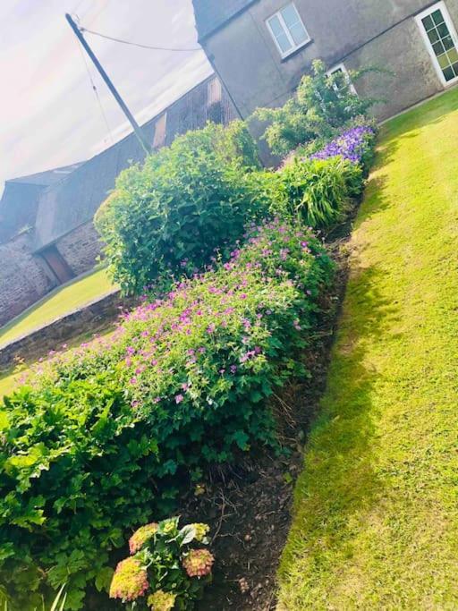 Cosy Farmhouse Escape In Monmouthshire Villa Wolves Newton Exterior foto